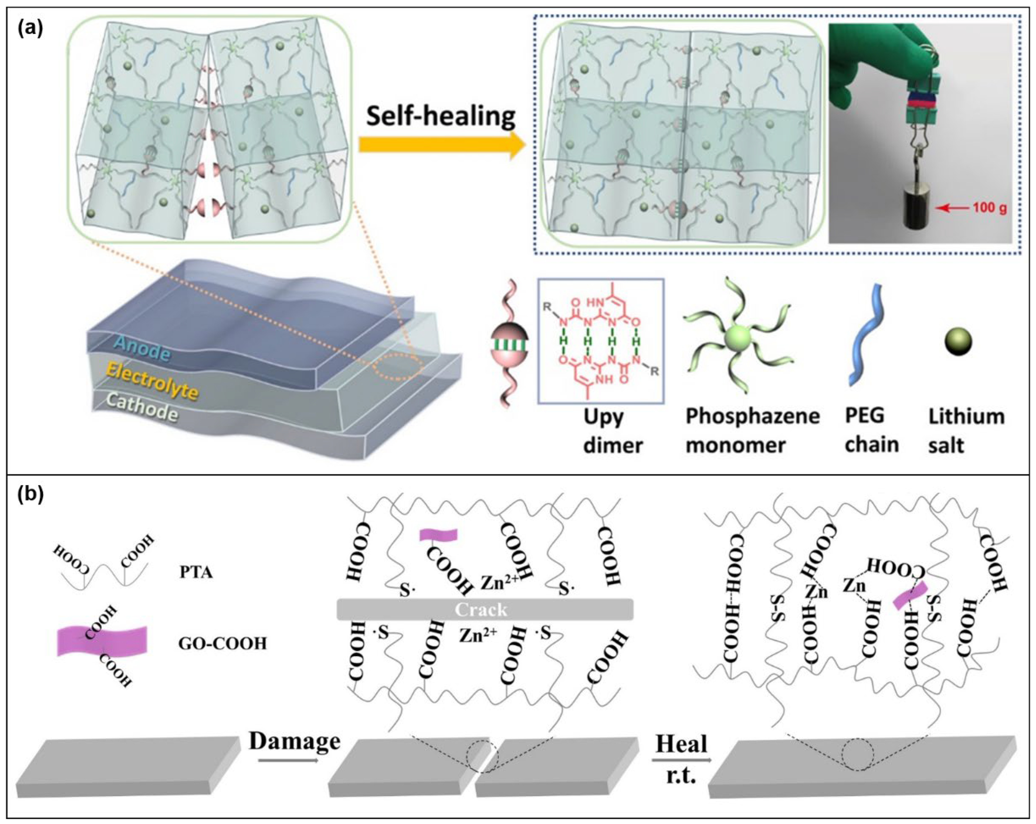 Molecules 28 05518 g022 Molecules 28 05518 g022