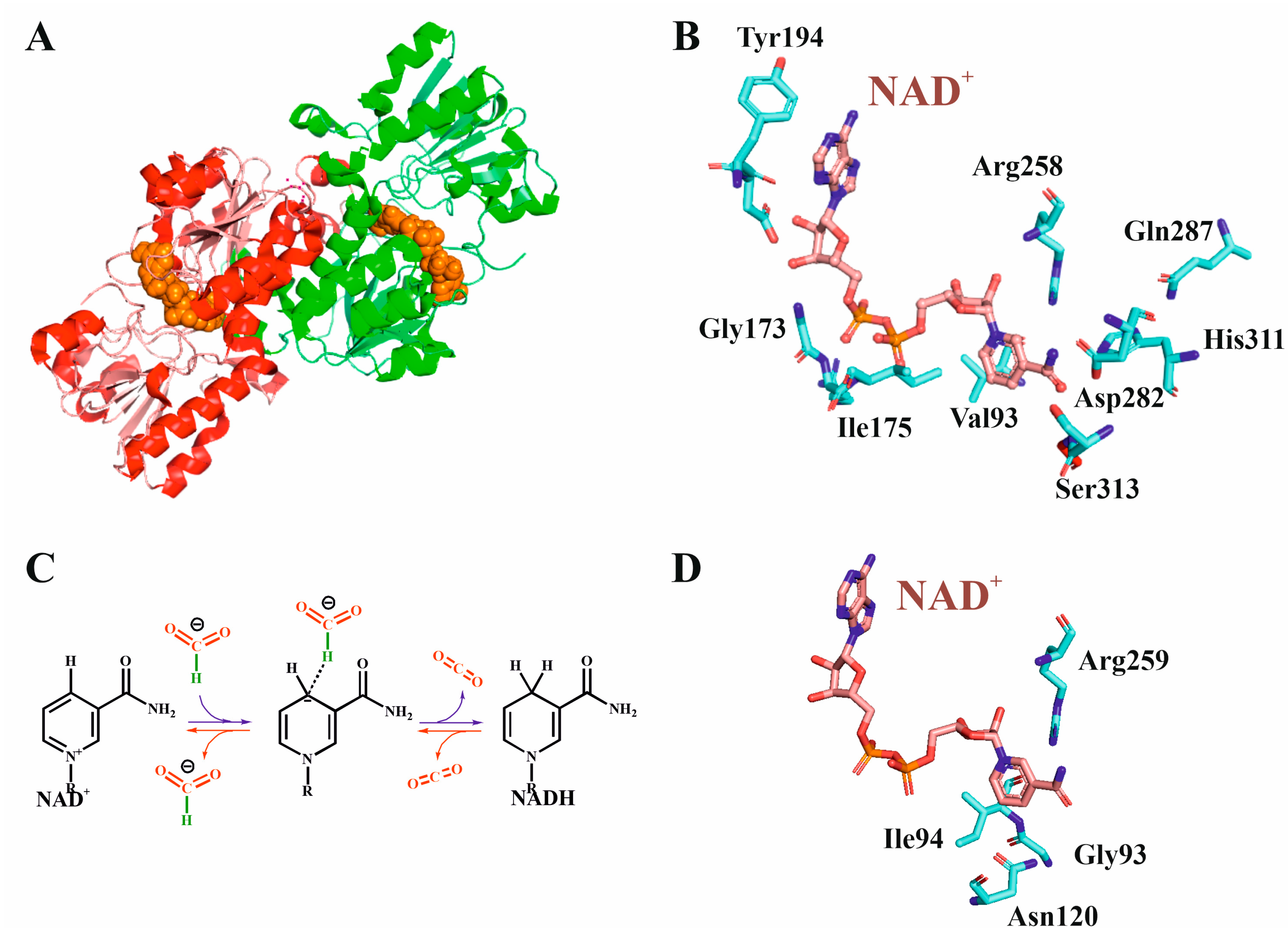 Molecules 28 05520 g005 Molecules 28 05520 g005