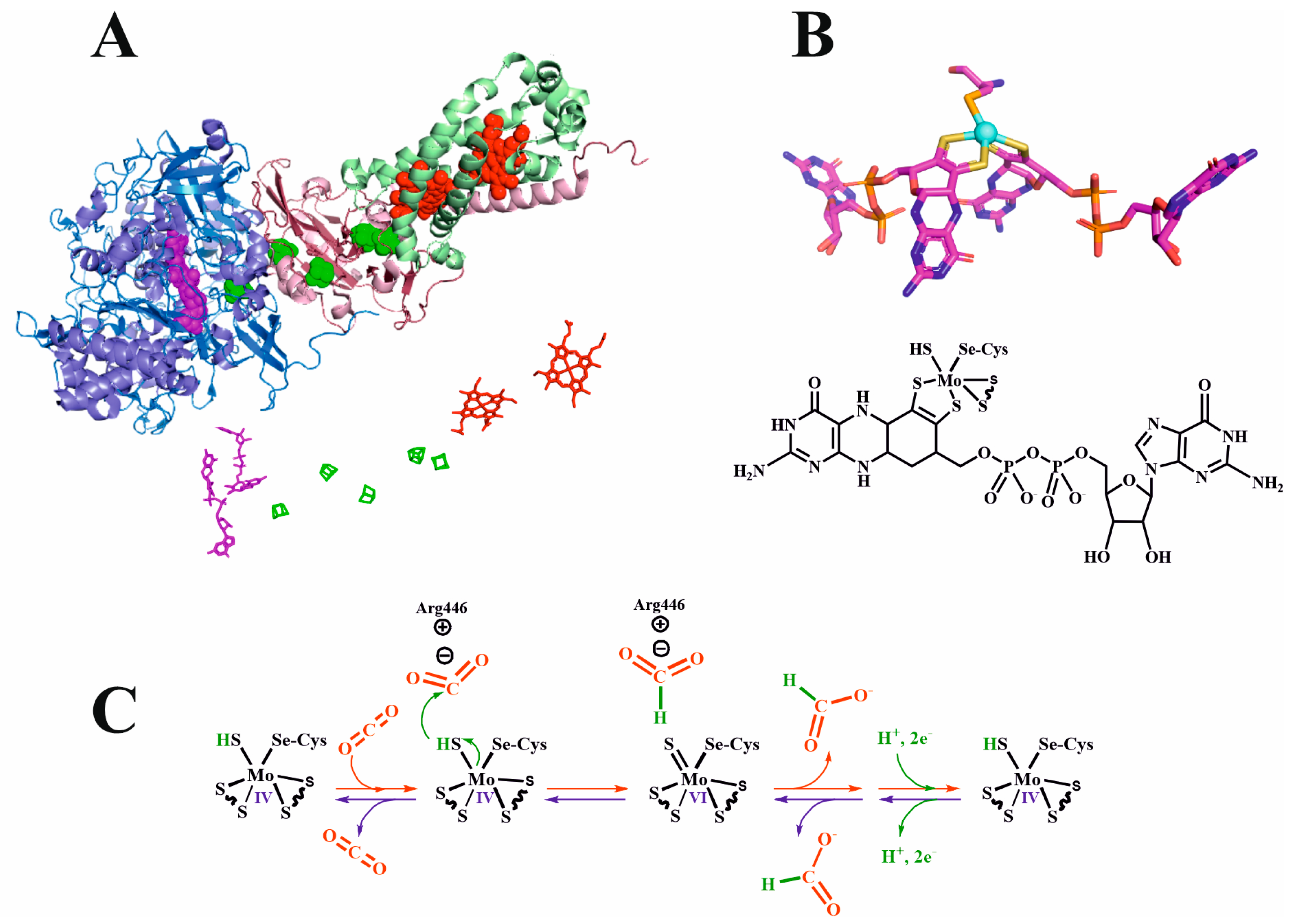 Molecules 28 05520 g006 Molecules 28 05520 g006