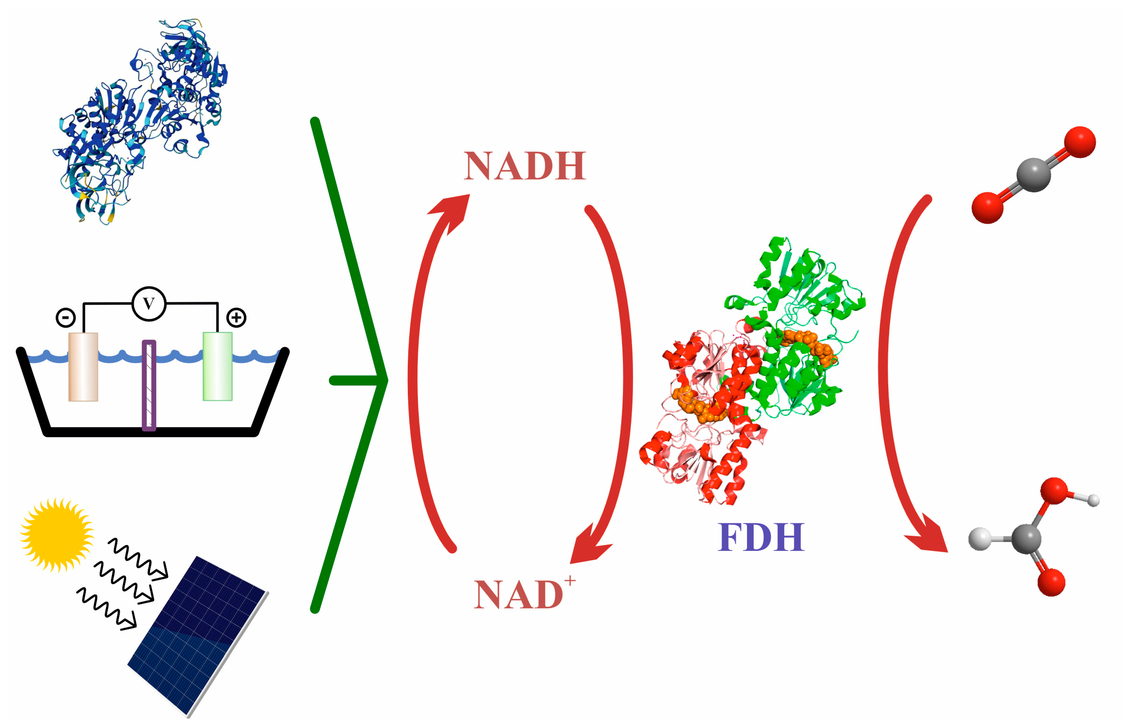 Molecules 28 05520 g008 Molecules 28 05520 g008