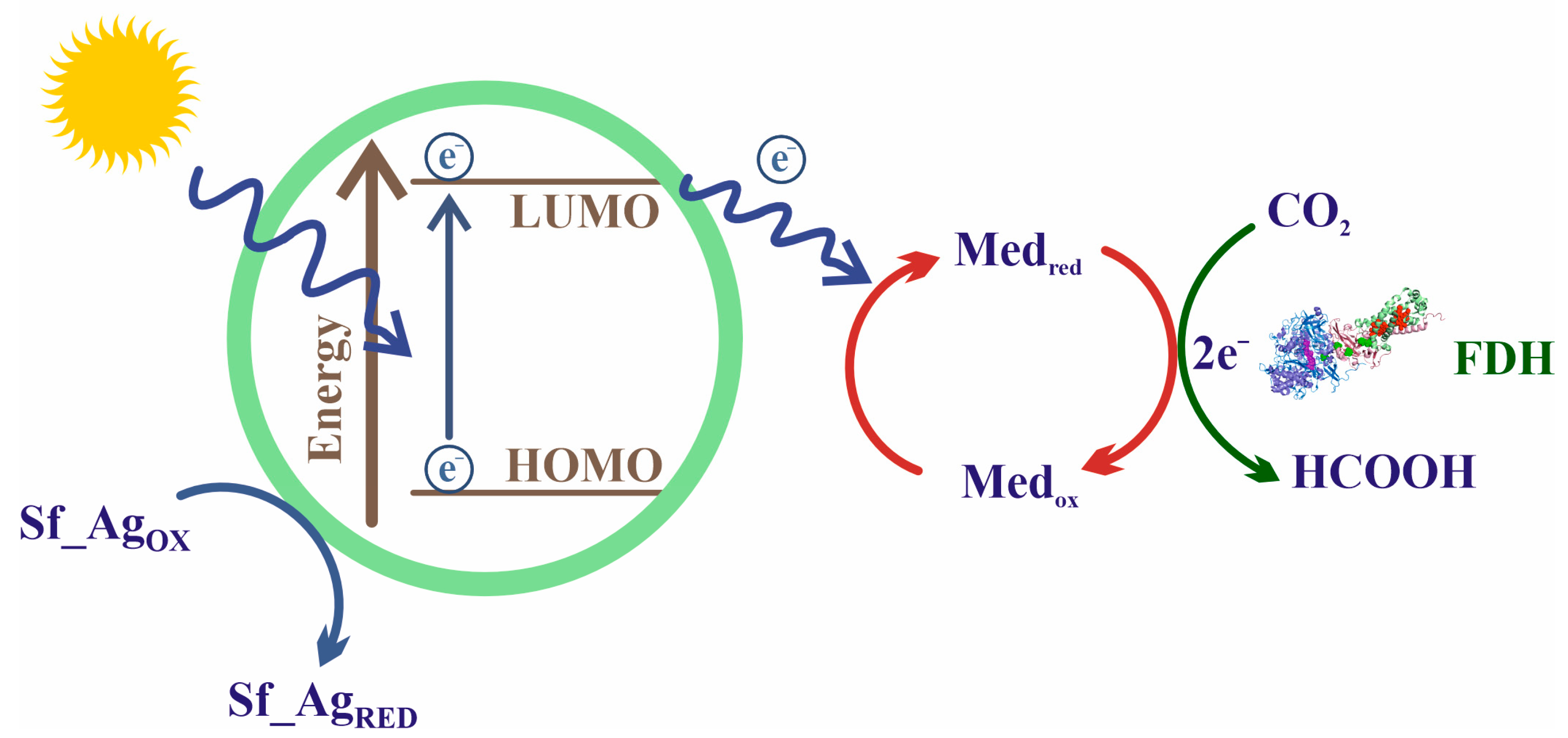 Molecules 28 05520 g012 Molecules 28 05520 g012