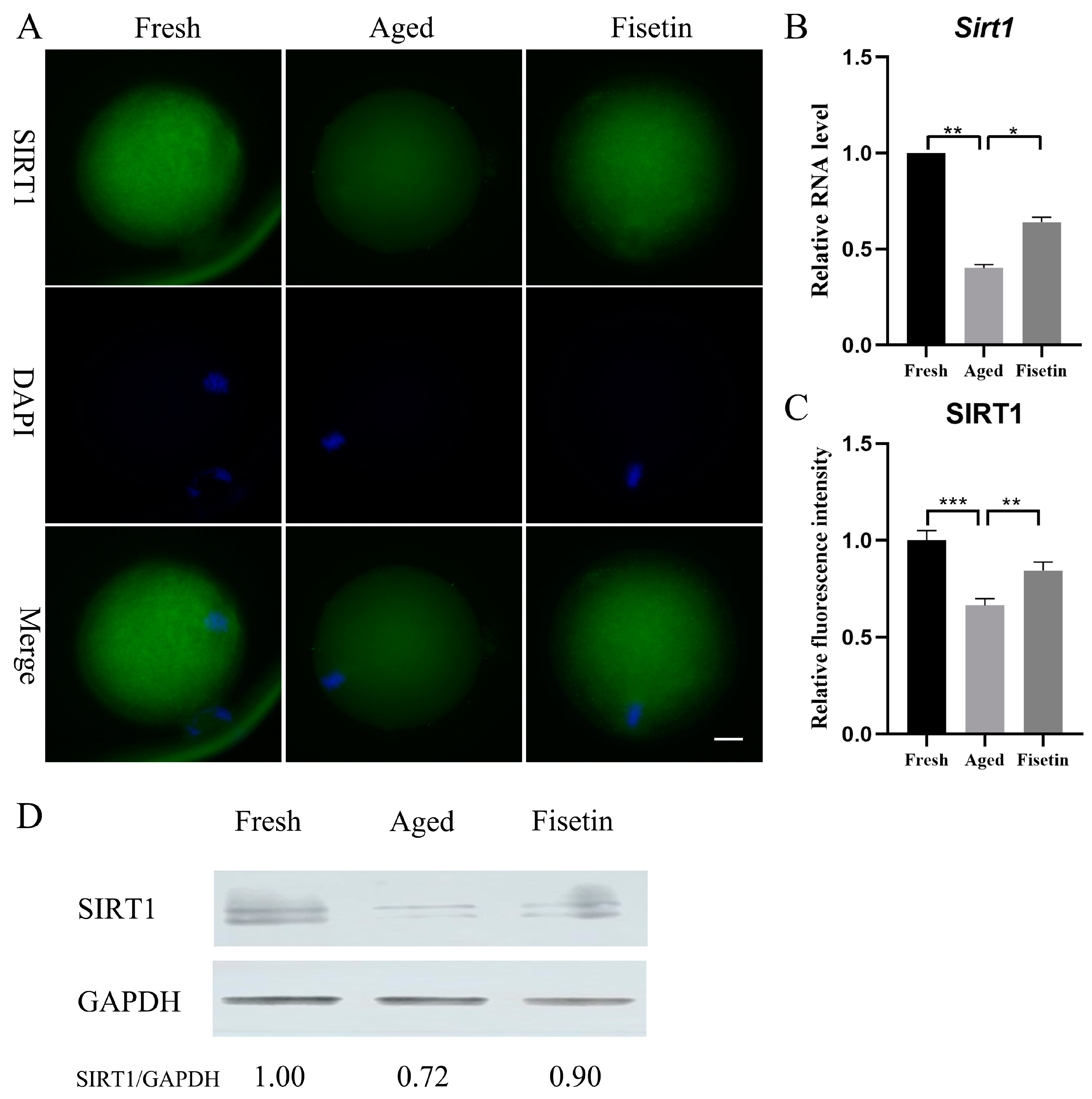 Molecules 28 05533 g002 Molecules 28 05533 g002