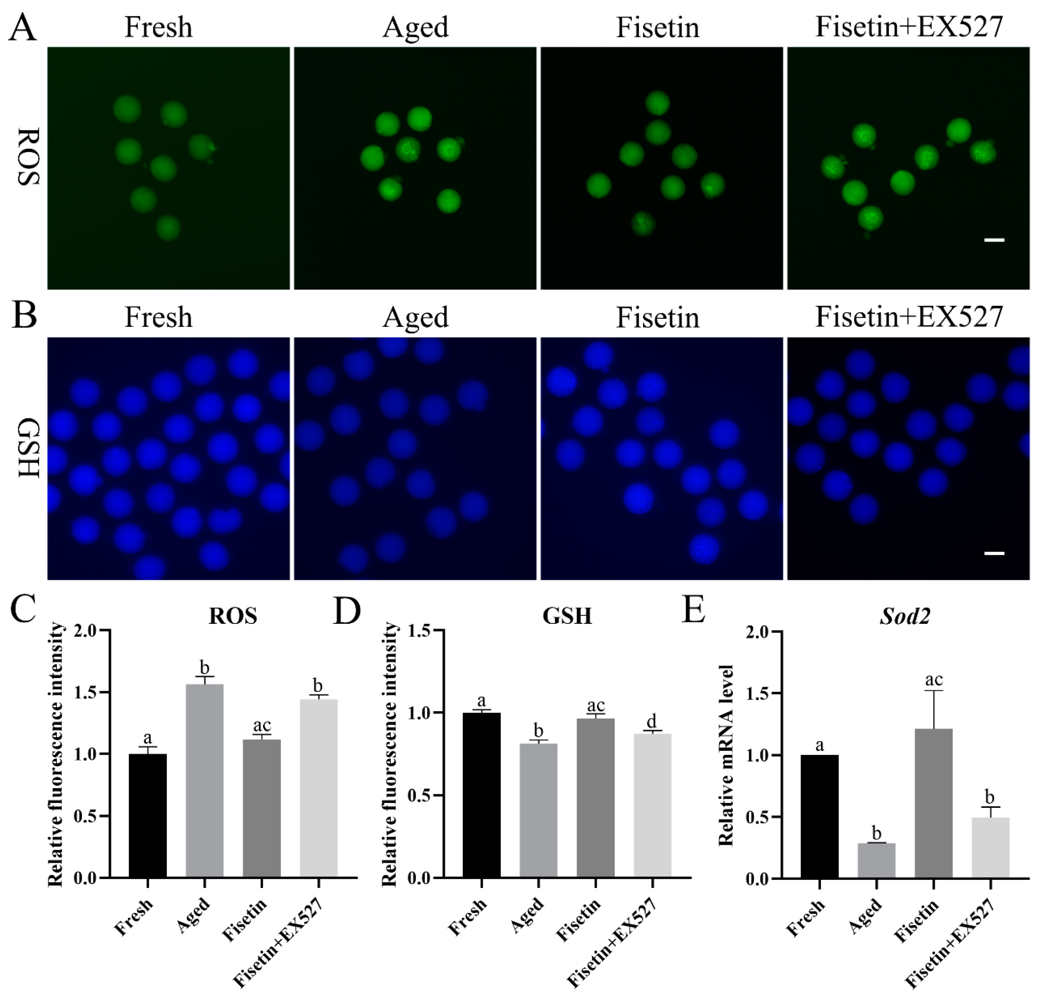 Molecules 28 05533 g003 Molecules 28 05533 g003
