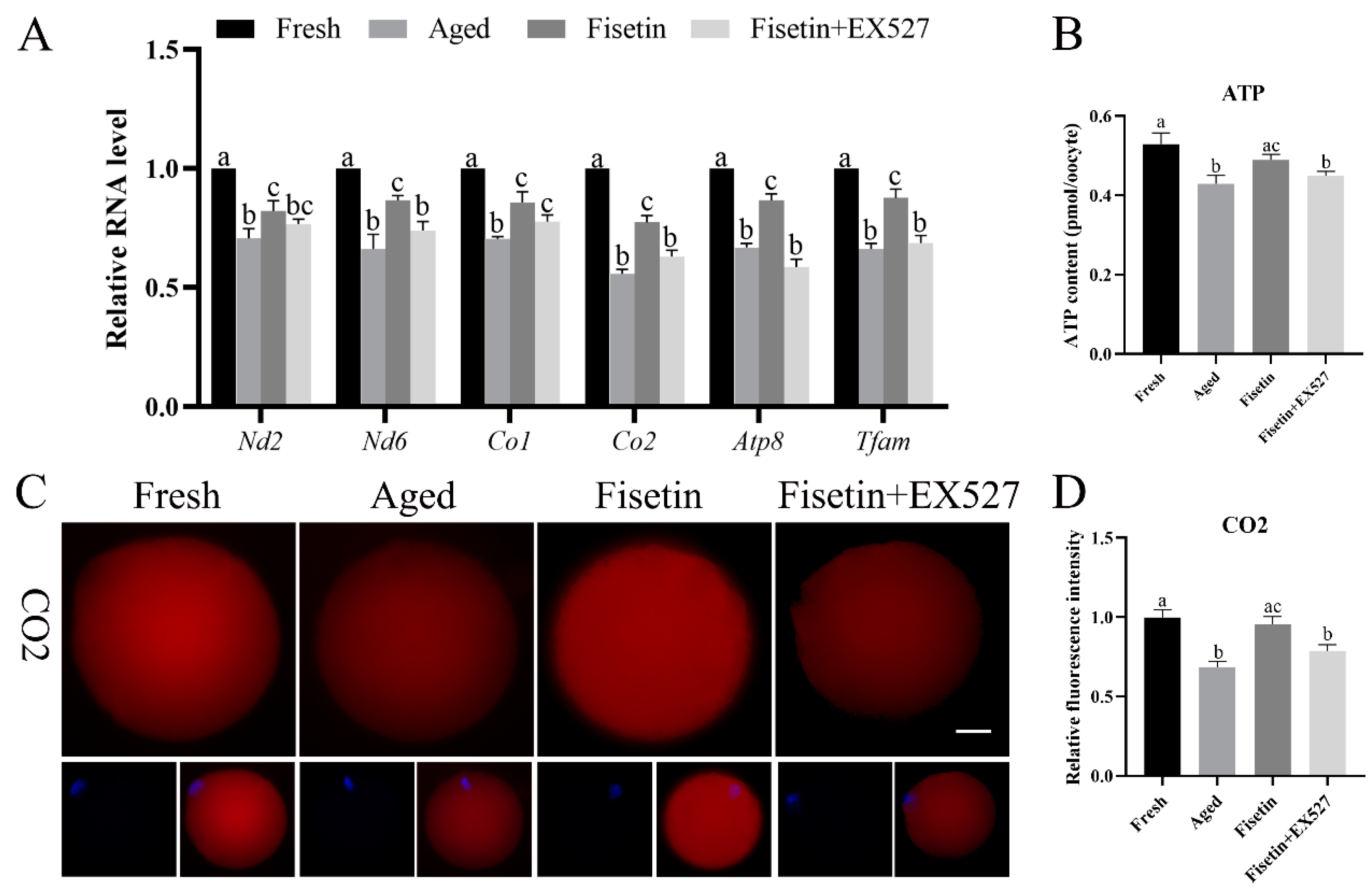 Molecules 28 05533 g006a Molecules 28 05533 g006a