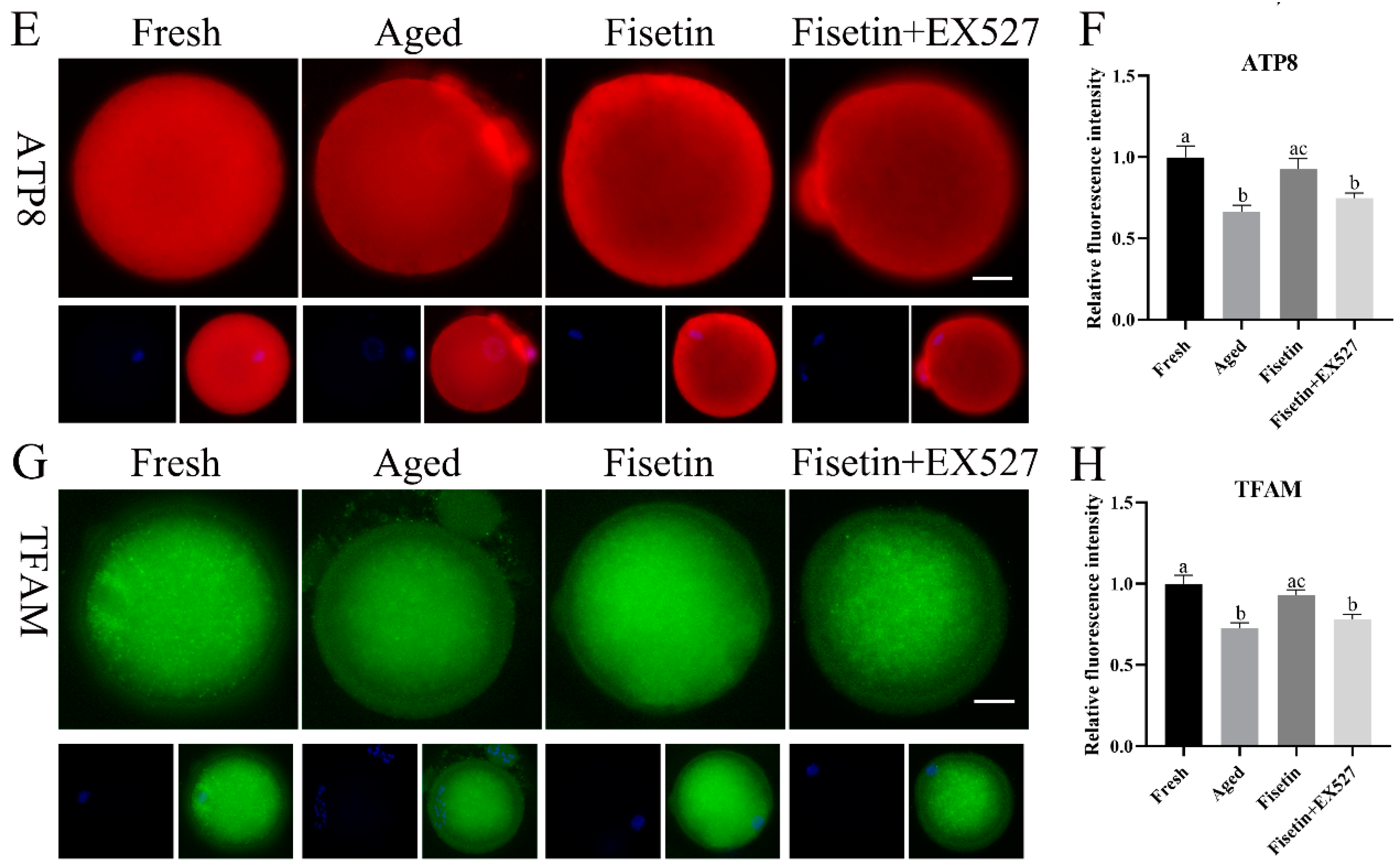 Molecules 28 05533 g006b Molecules 28 05533 g006b