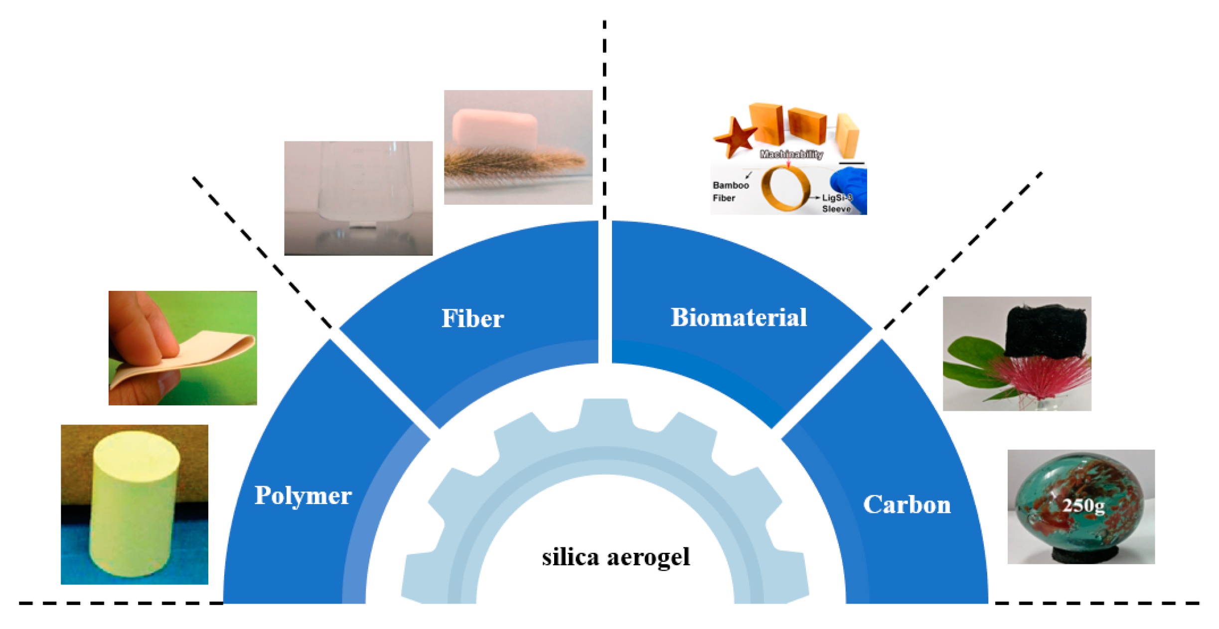 Molecules 28 05534 g002