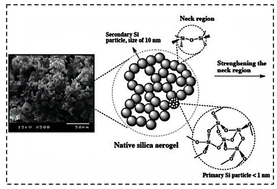 The Synthesis and Polymer-Reinforced Mechanical Properties