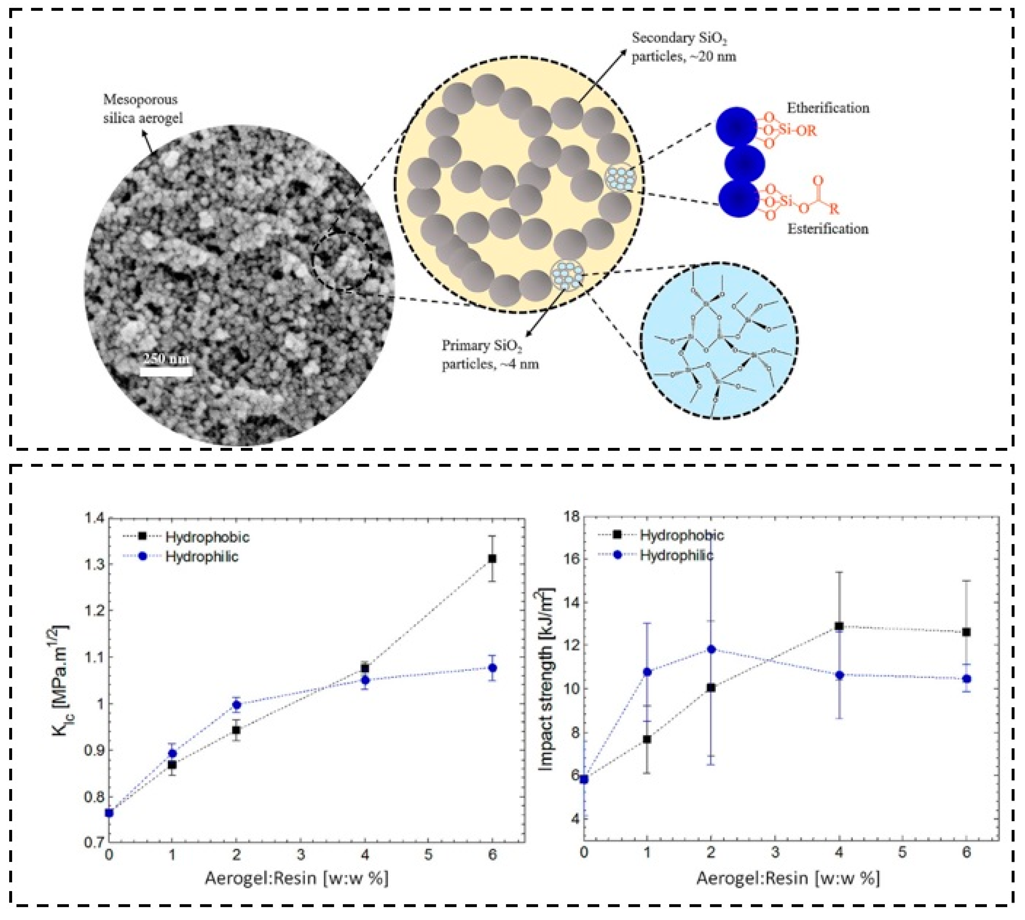 Molecules 28 05534 g008