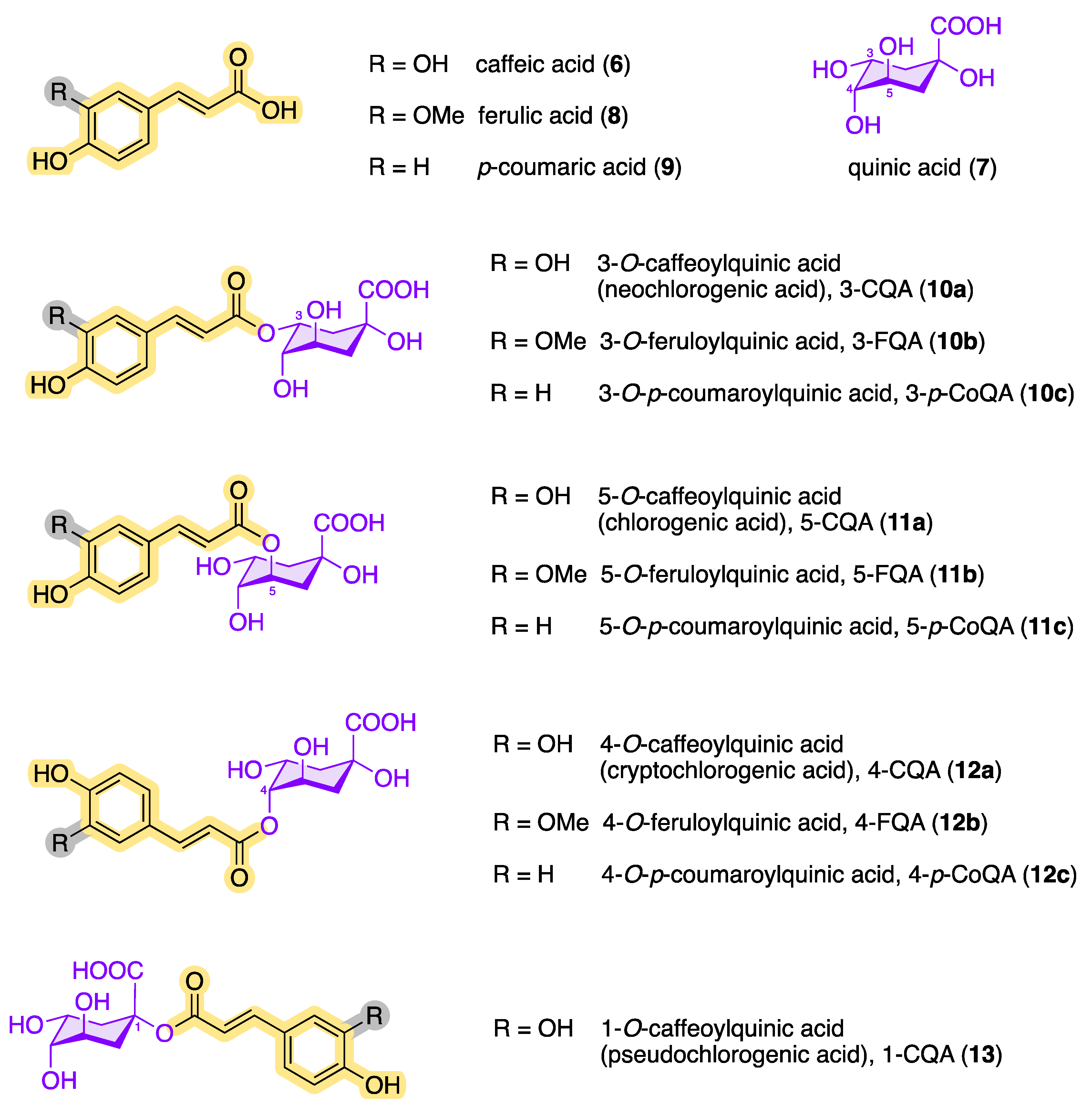 Molecules 28 05540 g003