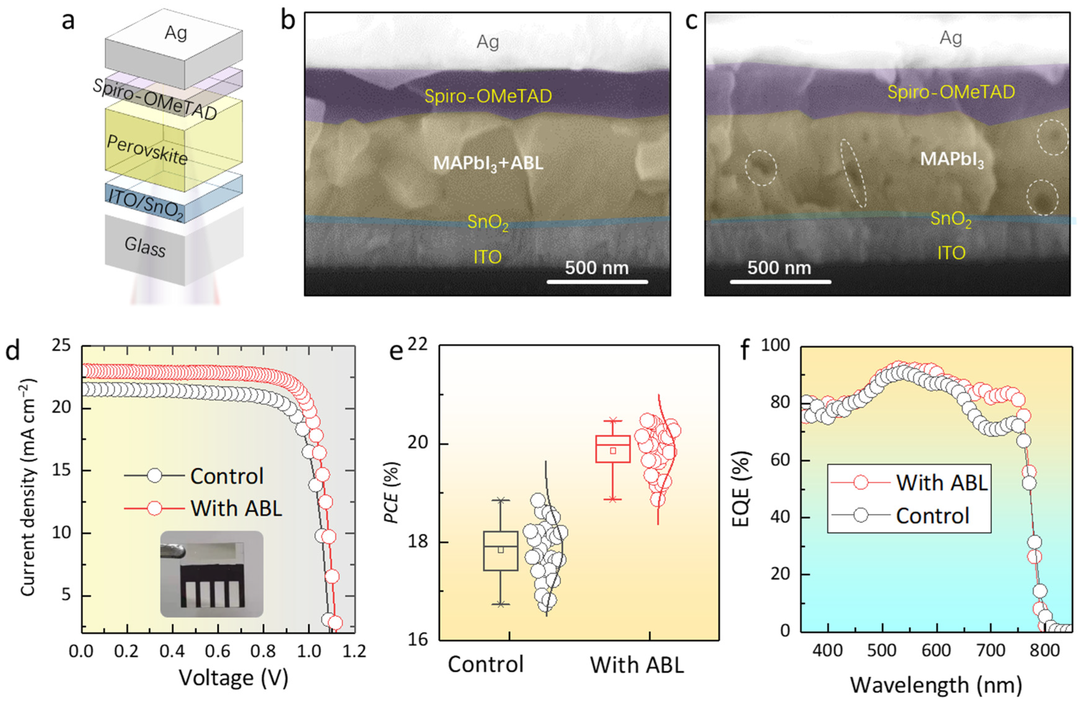 Molecules 28 05542 g004 Molecules 28 05542 g004