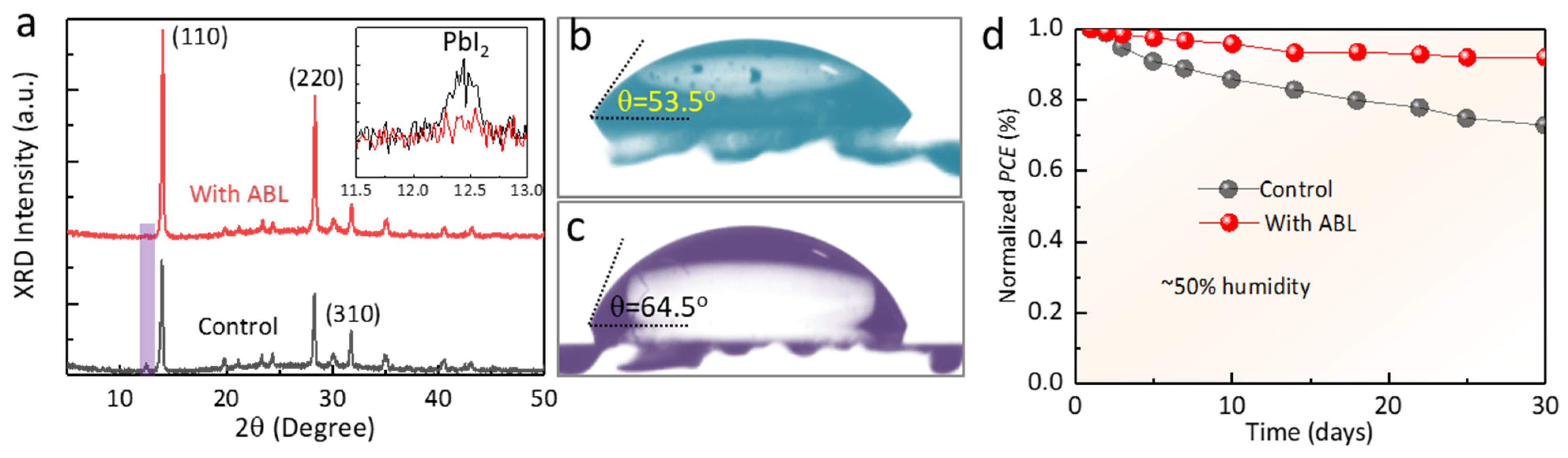Molecules 28 05542 g005 Molecules 28 05542 g005