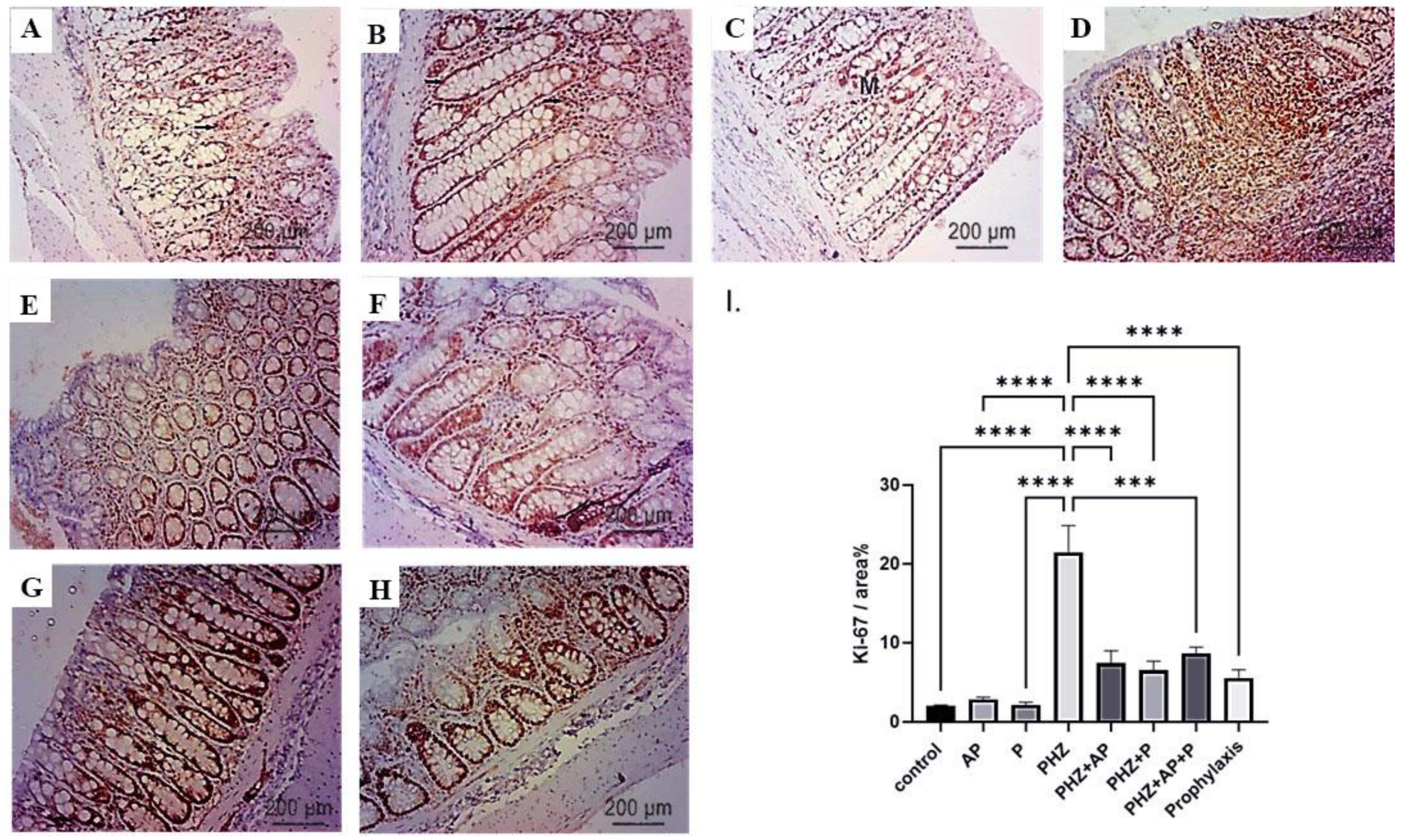 Molecules 28 05543 g009 Molecules 28 05543 g009