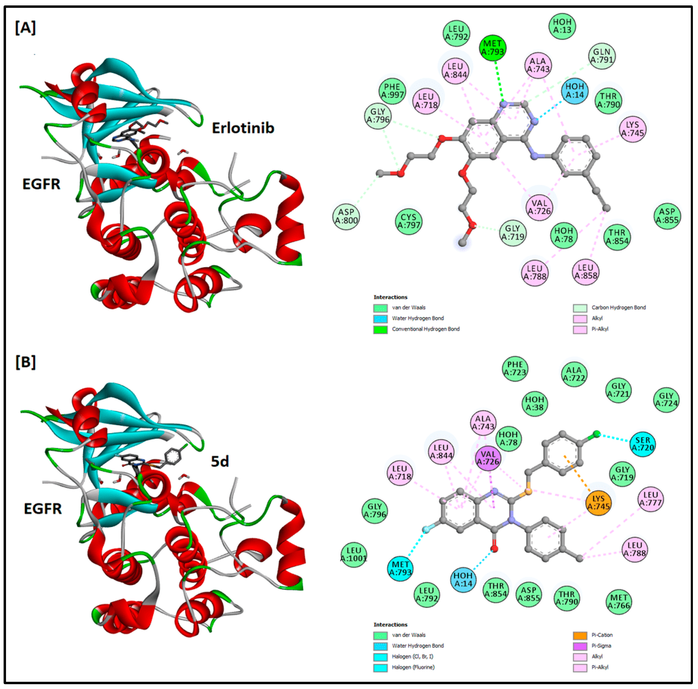 Molecules 28 05548 g005