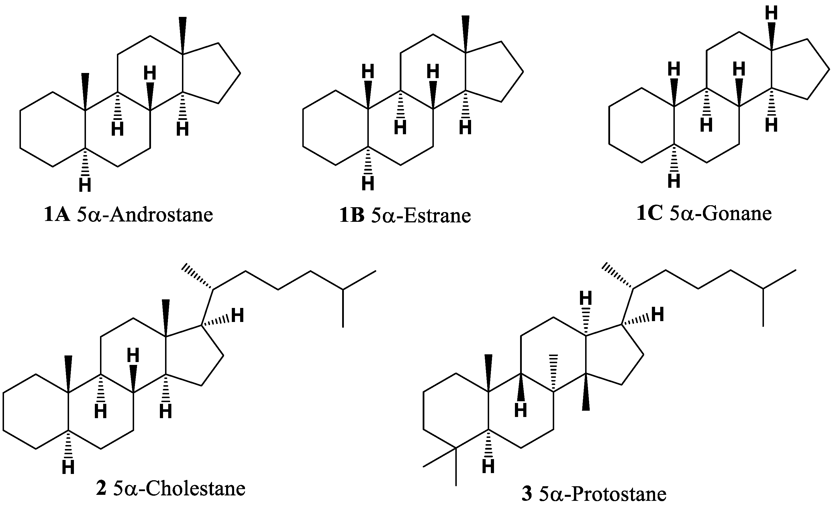 Molecules 28 05549 g001 Molecules 28 05549 g001