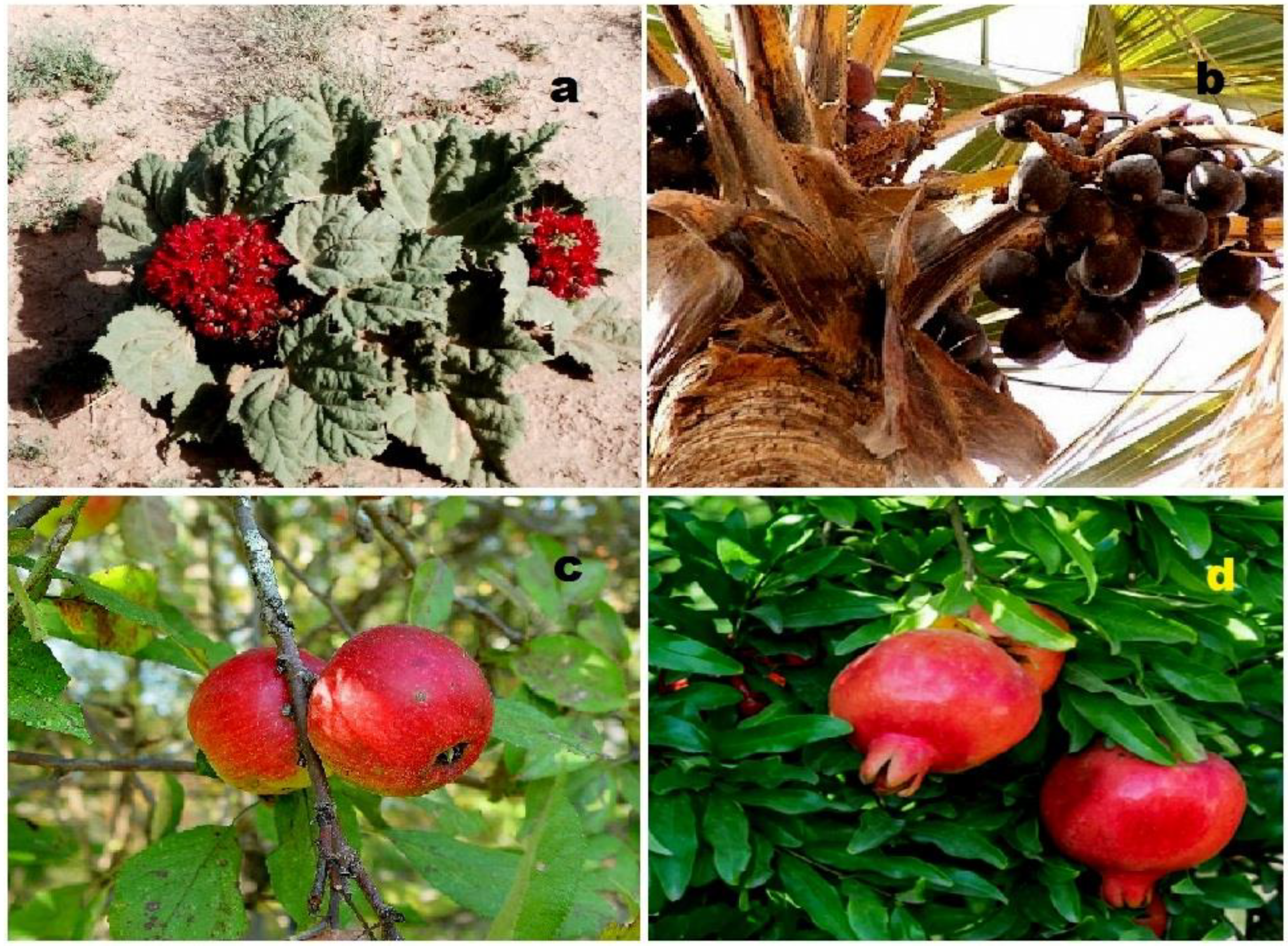 Molecules 28 05549 g004 Molecules 28 05549 g004