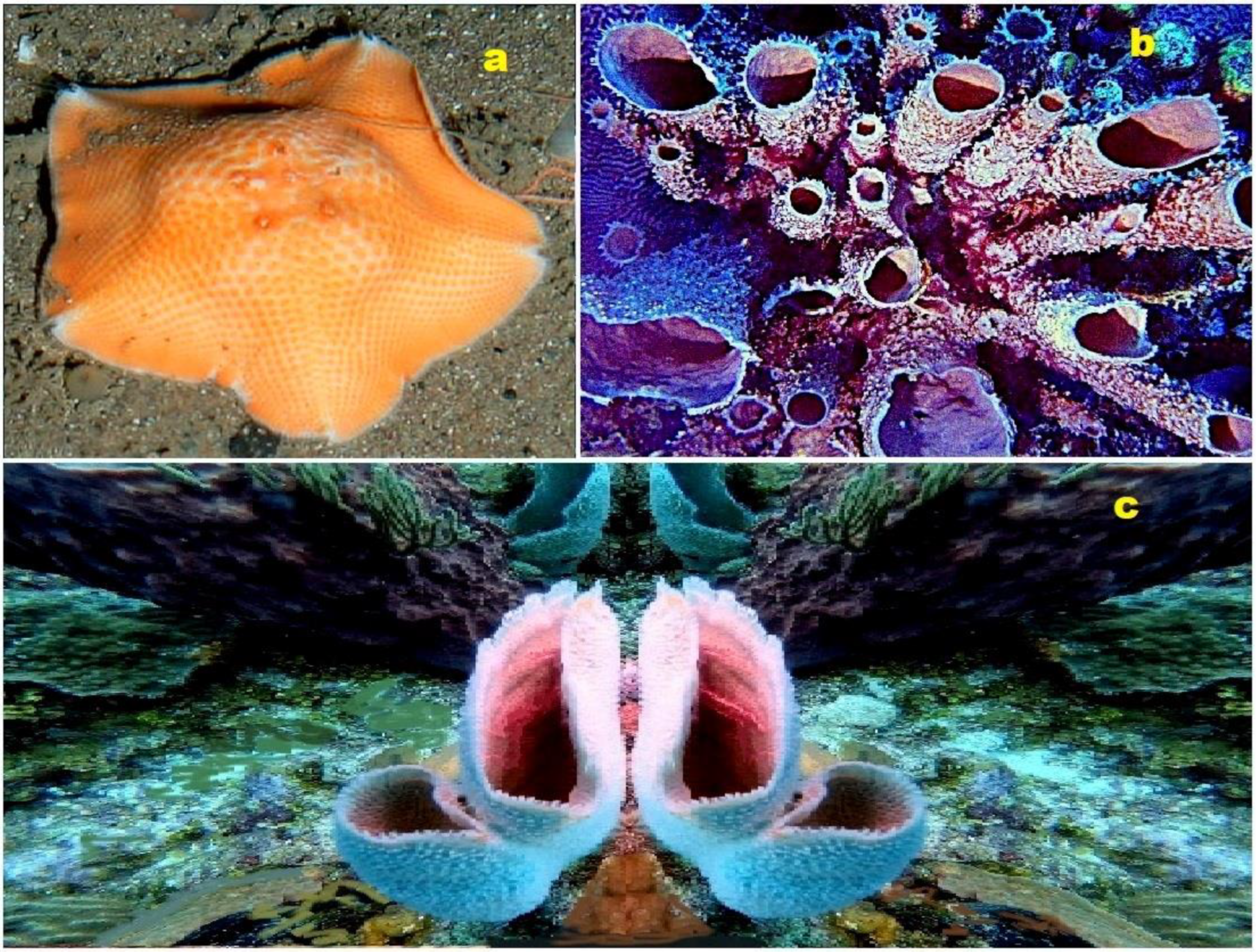 Molecules 28 05549 g018 Molecules 28 05549 g018