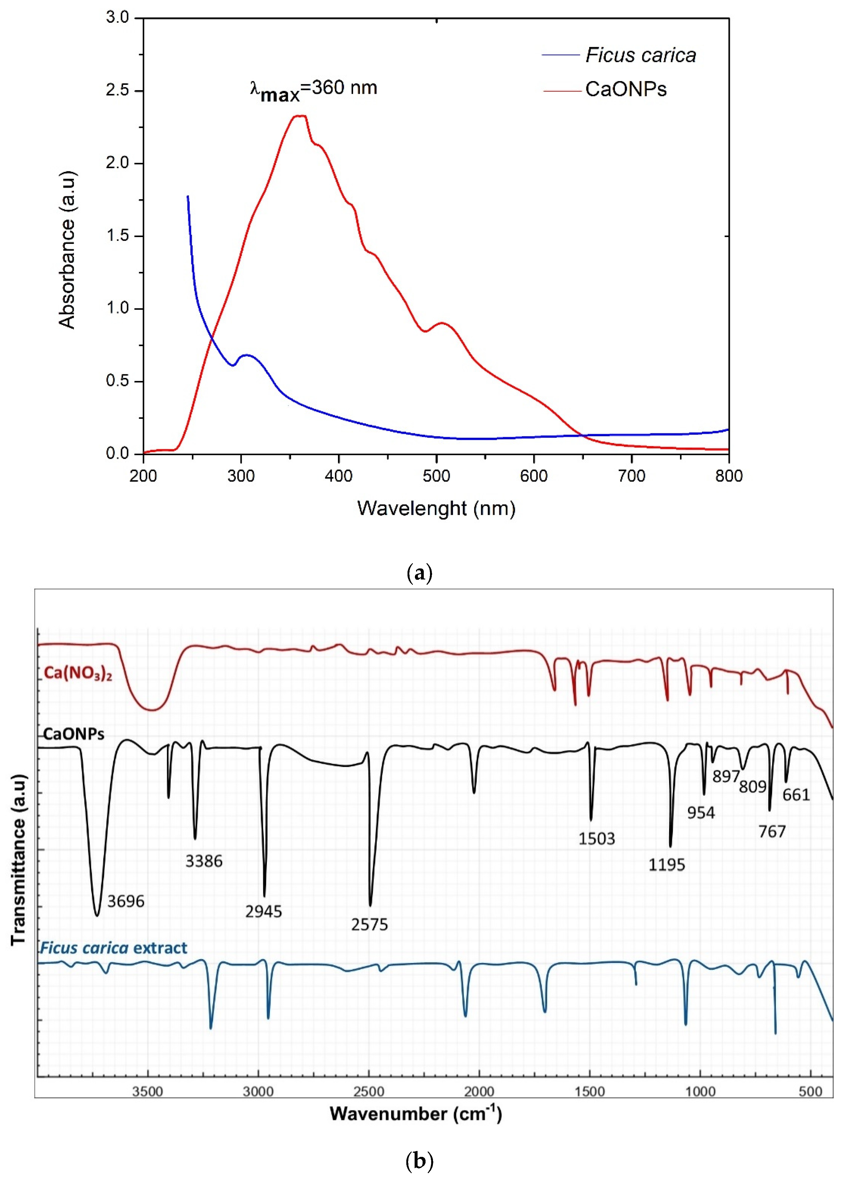 Molecules 28 05553 g002a Molecules 28 05553 g002a