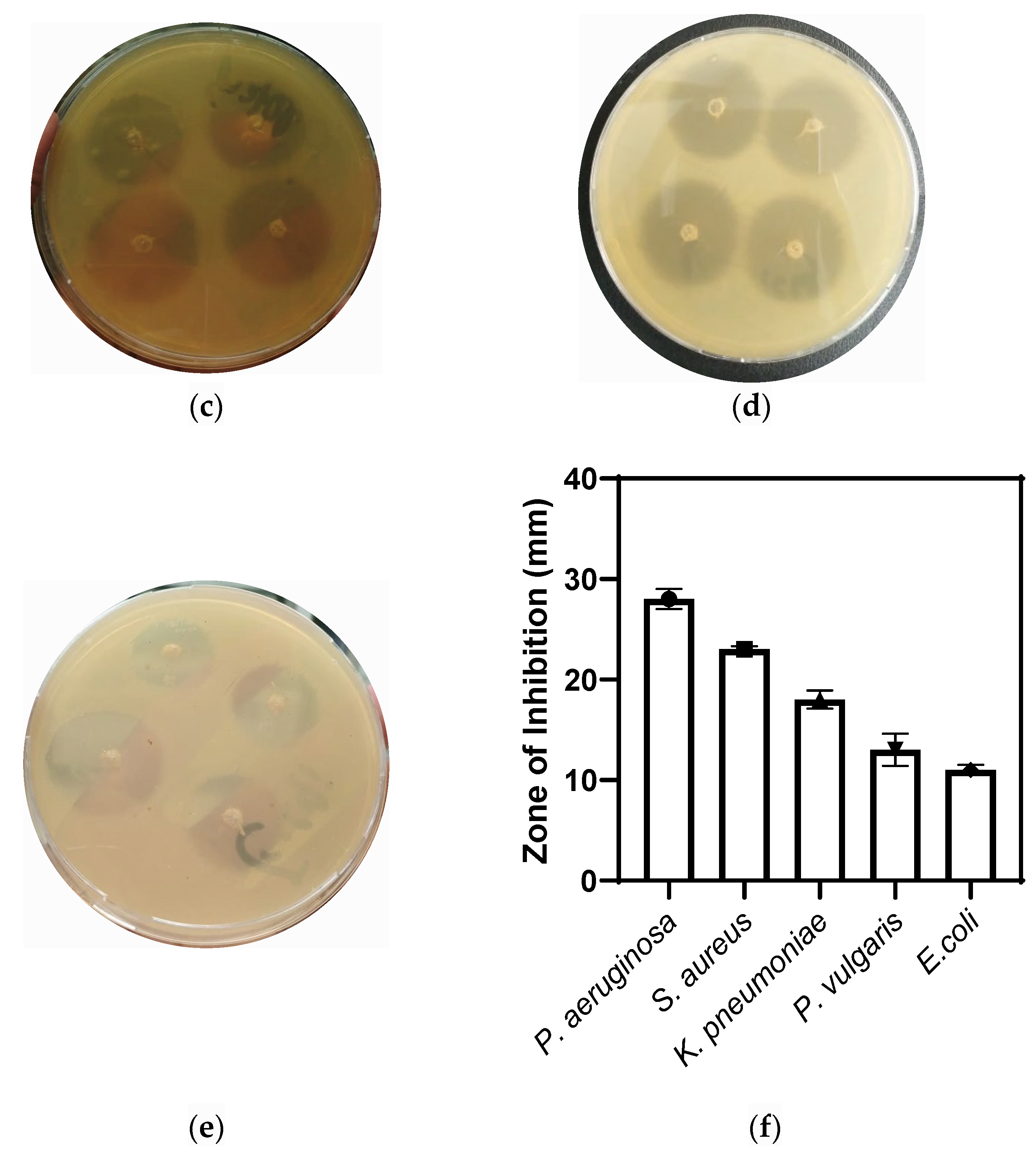 Molecules 28 05553 g004b Molecules 28 05553 g004b