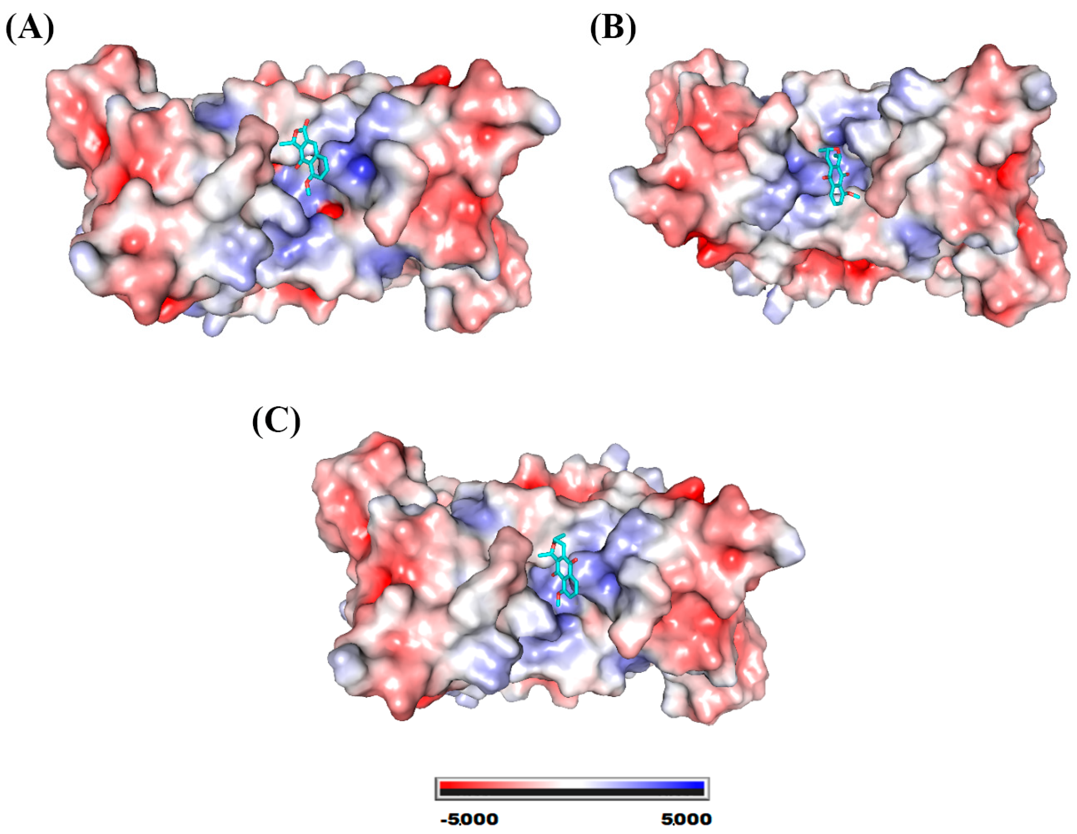 Molecules 28 05557 g005