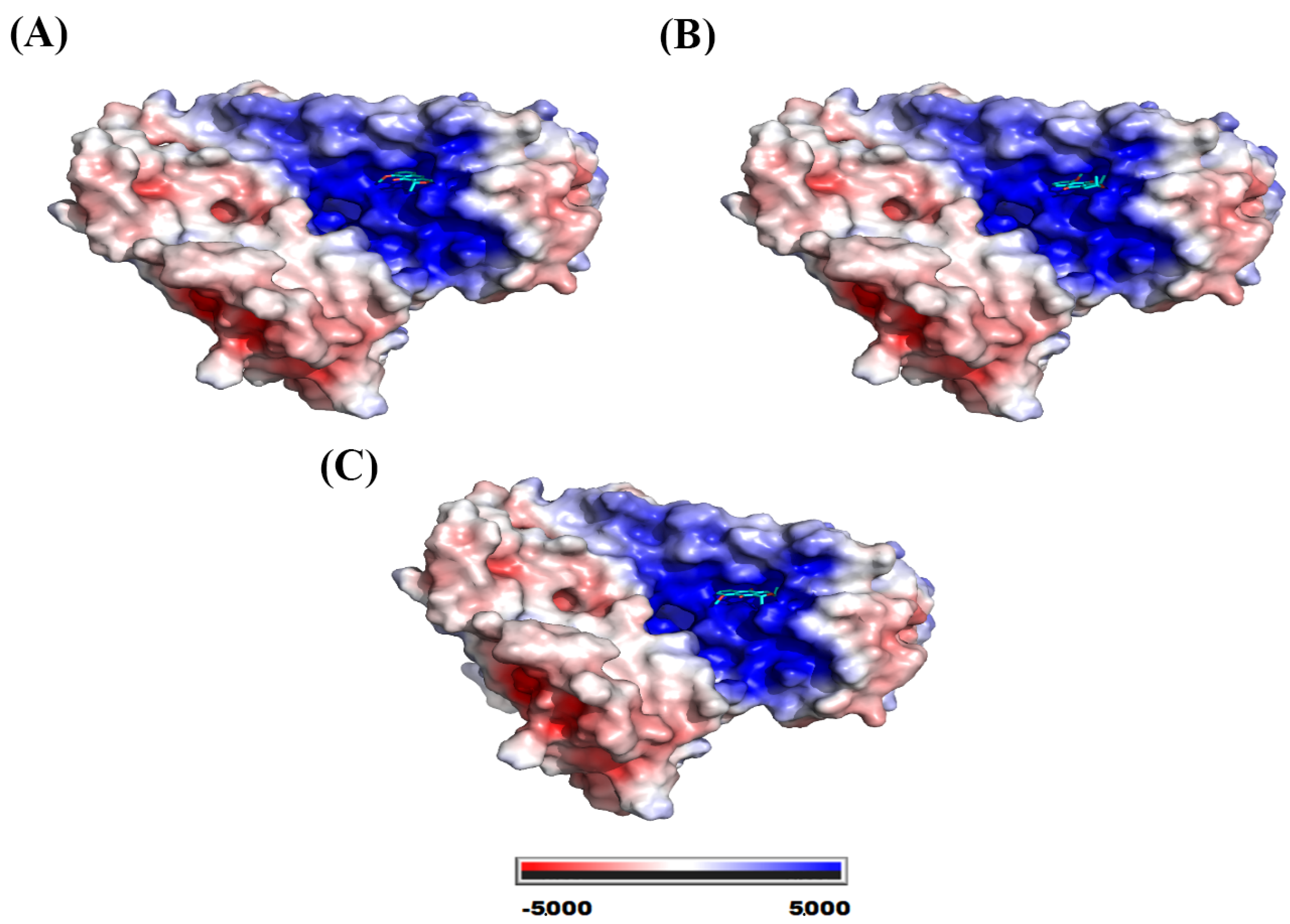 Molecules 28 05557 g011