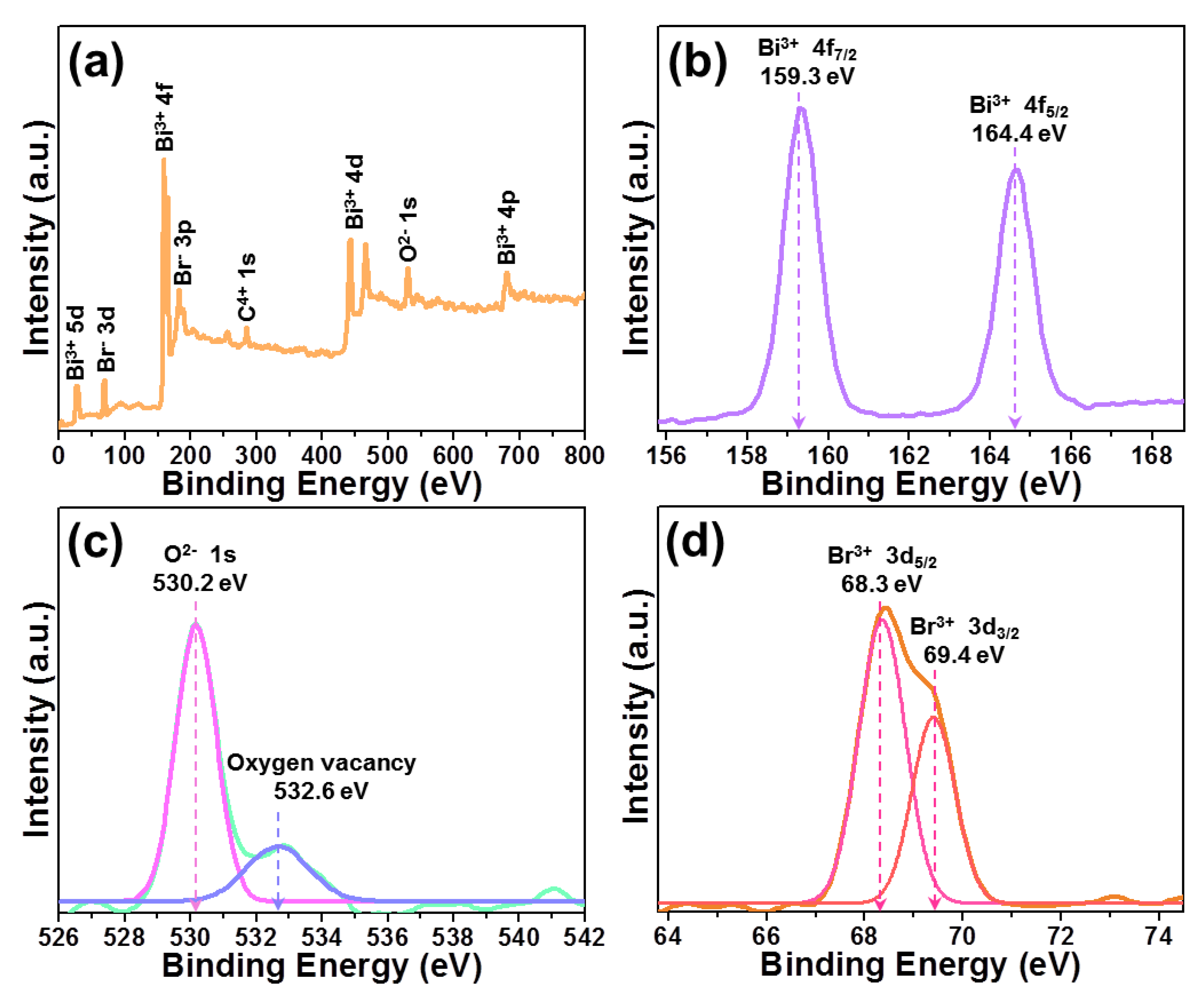 Molecules 28 05558 g002