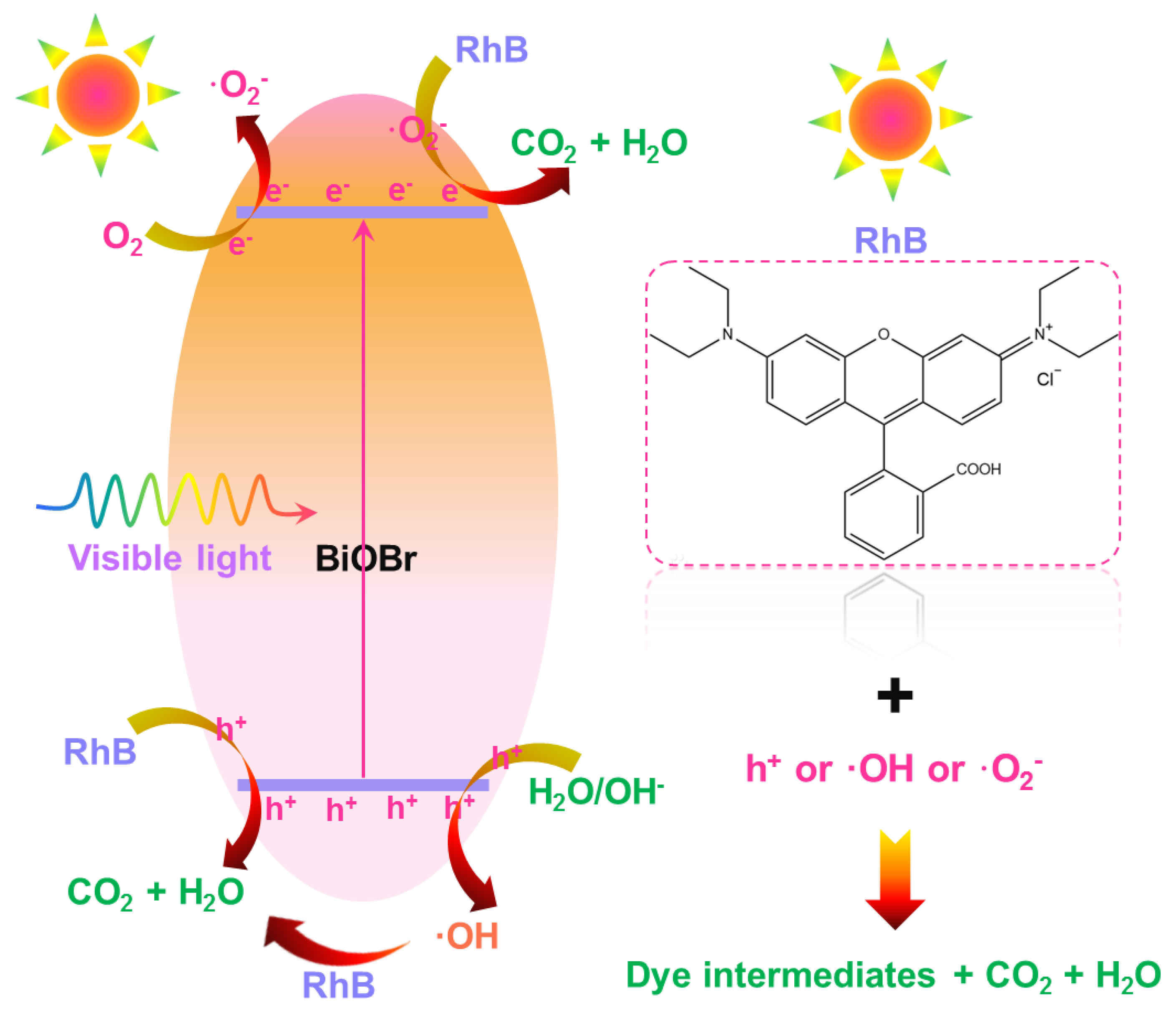 Molecules 28 05558 g009