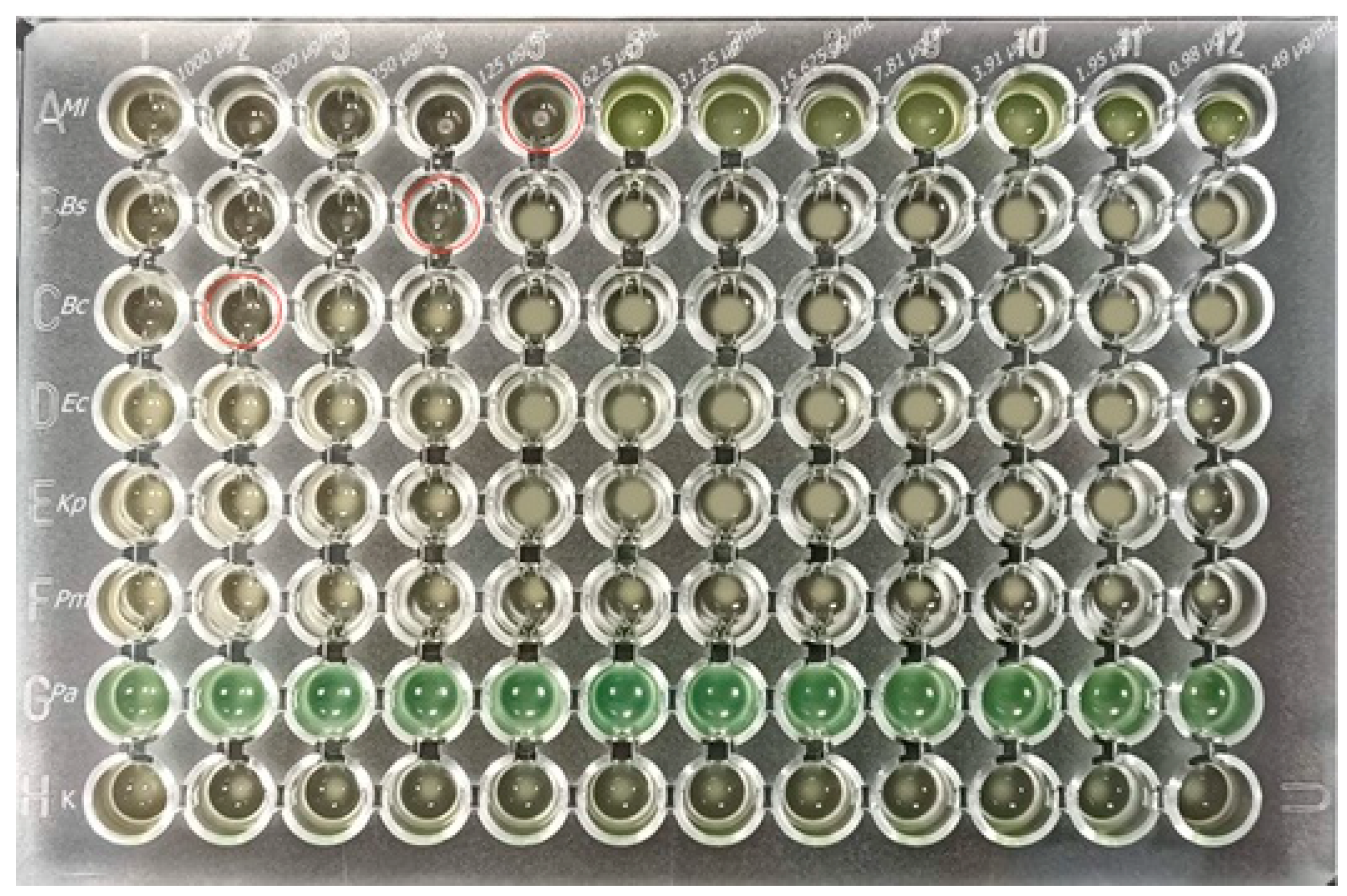Molecules 28 05562 g001
