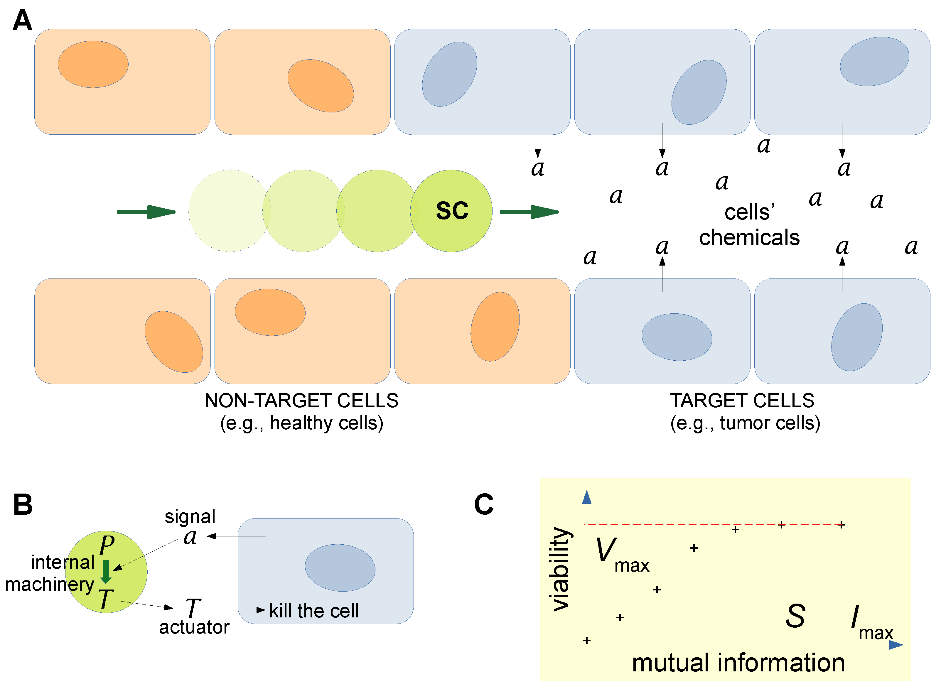 Molecules 28 05564 g004 Molecules 28 05564 g004