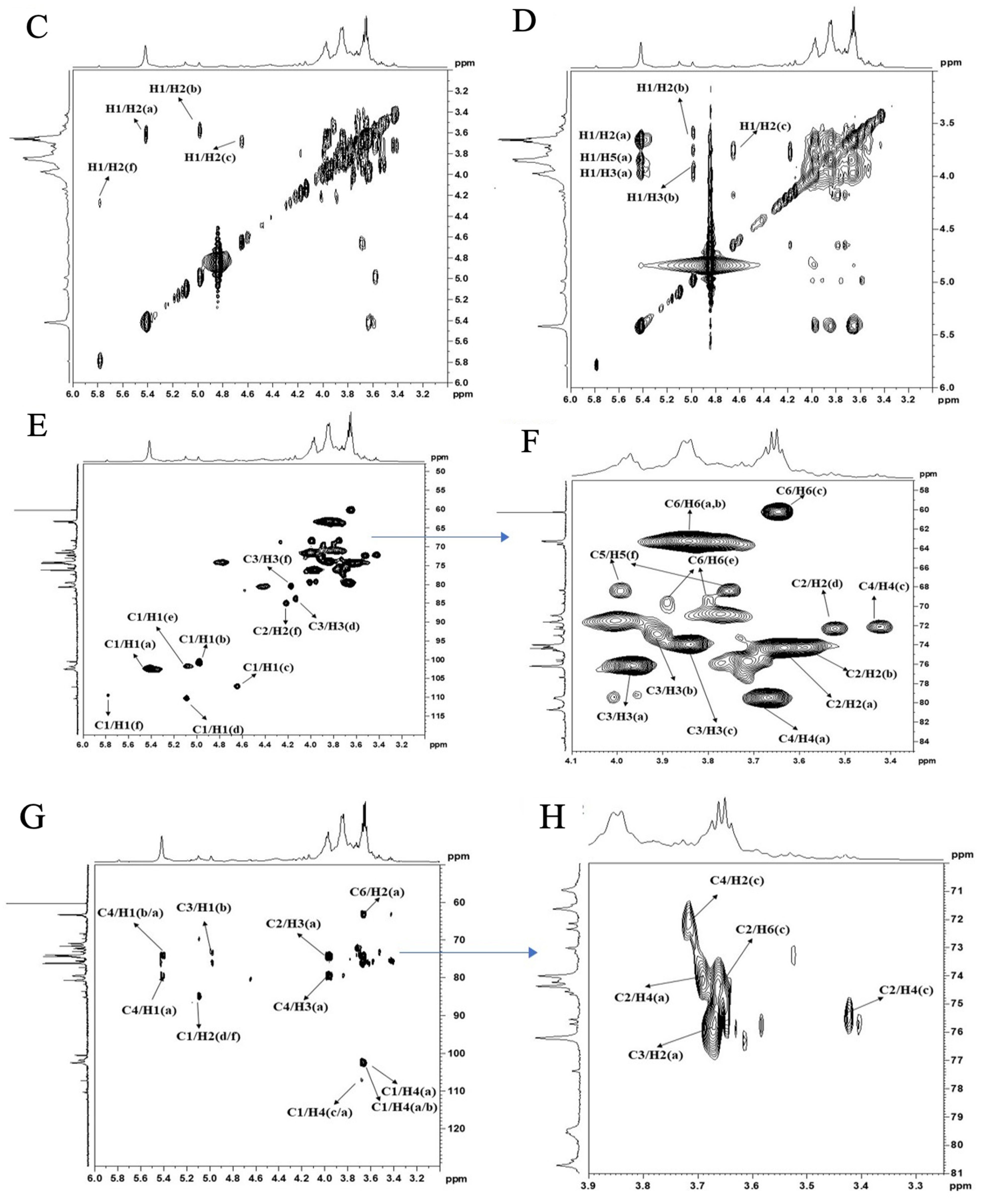 Molecules 28 05566 g003b