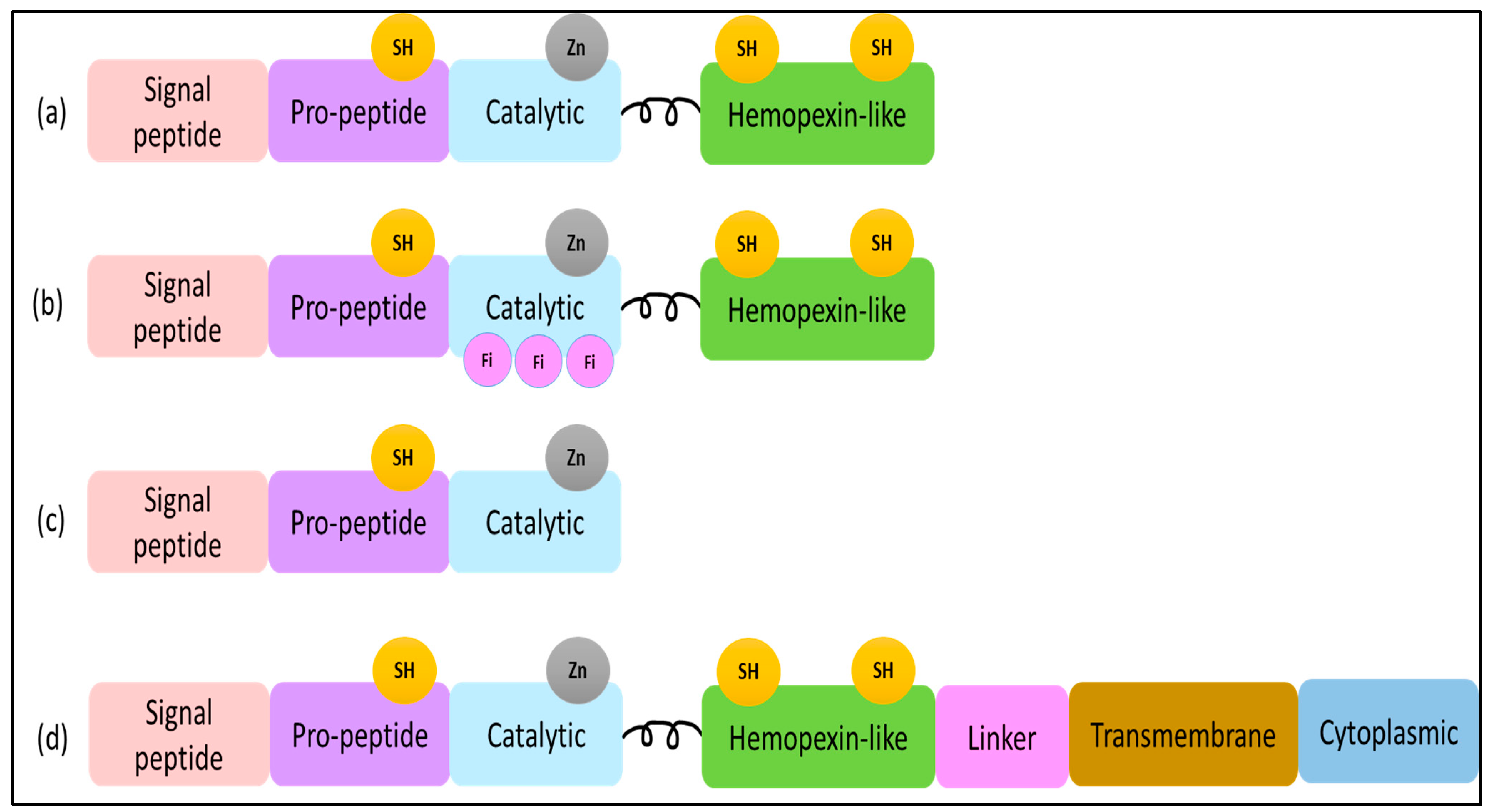Matrix Metalloproteinases Inhibitors in Cancer Treatment: An