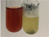 Molecules 28 05572 i028 Molecules 28 05572 i028