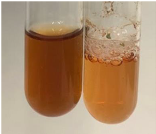 Molecules 28 05572 i035 Molecules 28 05572 i035