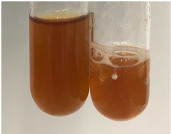 Molecules 28 05572 i041 Molecules 28 05572 i041