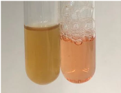 Molecules 28 05572 i053 Molecules 28 05572 i053