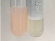 Molecules 28 05572 i058 Molecules 28 05572 i058