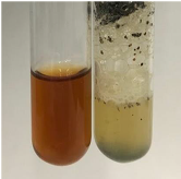 Molecules 28 05572 i064 Molecules 28 05572 i064