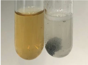 Molecules 28 05572 i070 Molecules 28 05572 i070