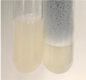 Molecules 28 05572 i073 Molecules 28 05572 i073