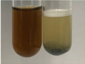 Molecules 28 05572 i085 Molecules 28 05572 i085