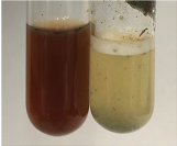 Molecules 28 05572 i088 Molecules 28 05572 i088