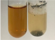 Molecules 28 05572 i094 Molecules 28 05572 i094