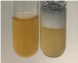 Molecules 28 05572 i100 Molecules 28 05572 i100