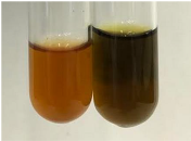 Molecules 28 05572 i111 Molecules 28 05572 i111