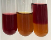 Molecules 28 05572 i115 Molecules 28 05572 i115