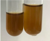 Molecules 28 05572 i162 Molecules 28 05572 i162