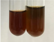 Molecules 28 05572 i165 Molecules 28 05572 i165