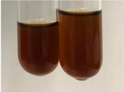 Molecules 28 05572 i180 Molecules 28 05572 i180