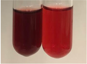 Molecules 28 05572 i186 Molecules 28 05572 i186