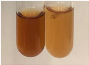 Molecules 28 05572 i188 Molecules 28 05572 i188