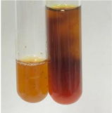 Molecules 28 05572 i191 Molecules 28 05572 i191